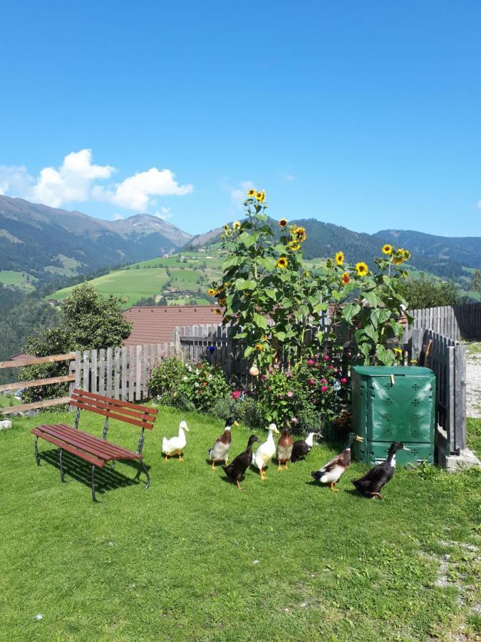 Ferienhaus Unterblasbichl Villa Bruck an der Grossglocknerstrasse Luaran gambar